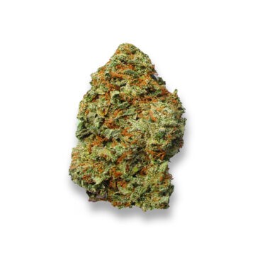 Prom Queen Strain - 4 Prom Queen Strain Review