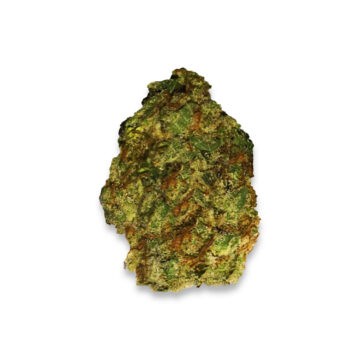 5th element strain review
