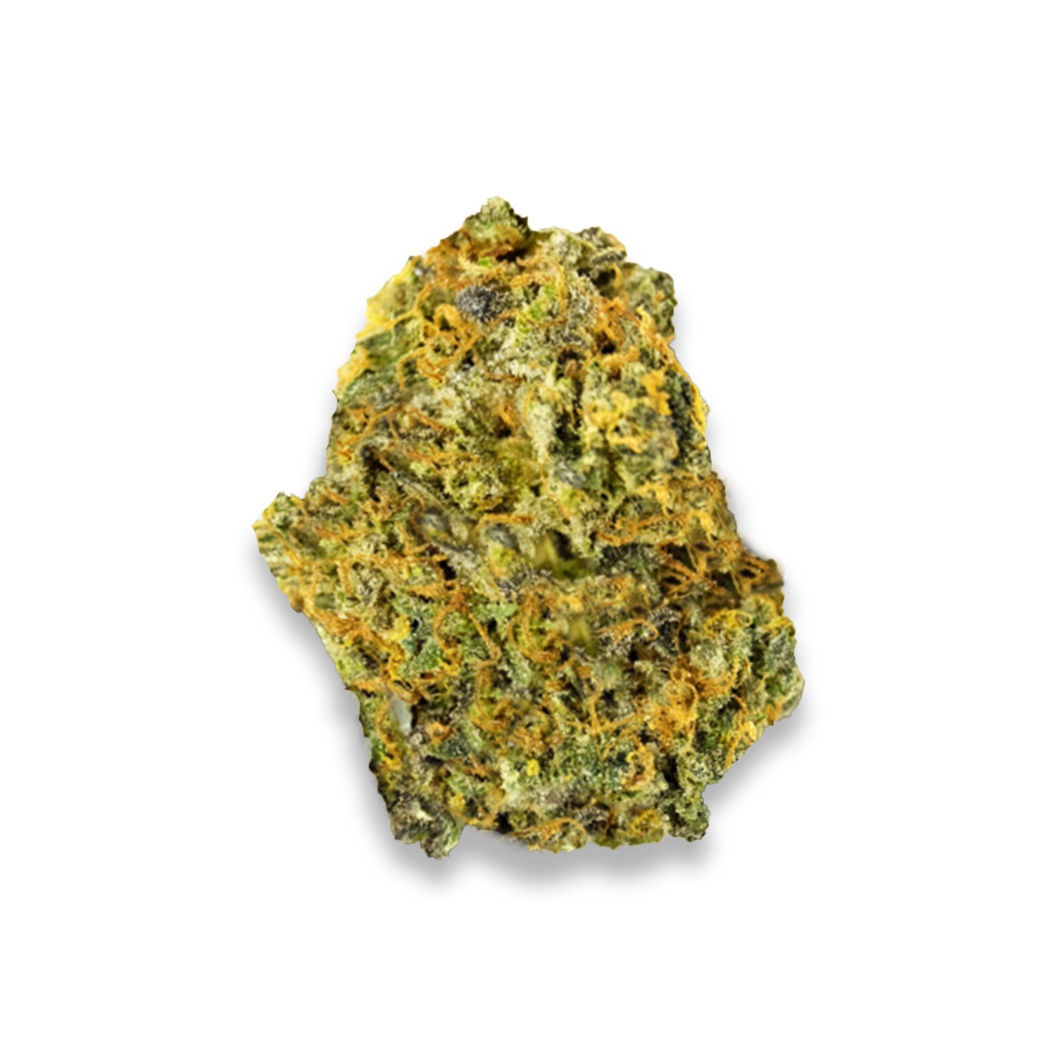 999 strain review