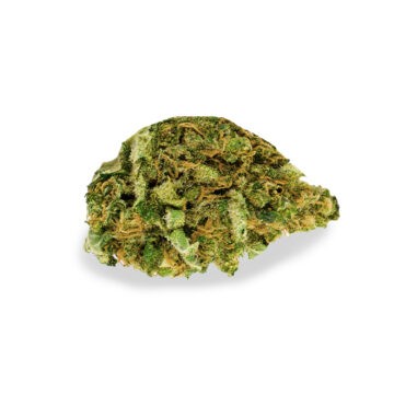 Big Bud Strain Review