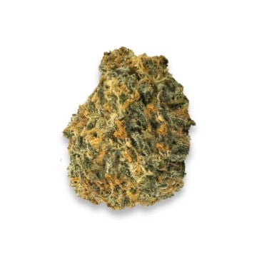 chem scout strain review