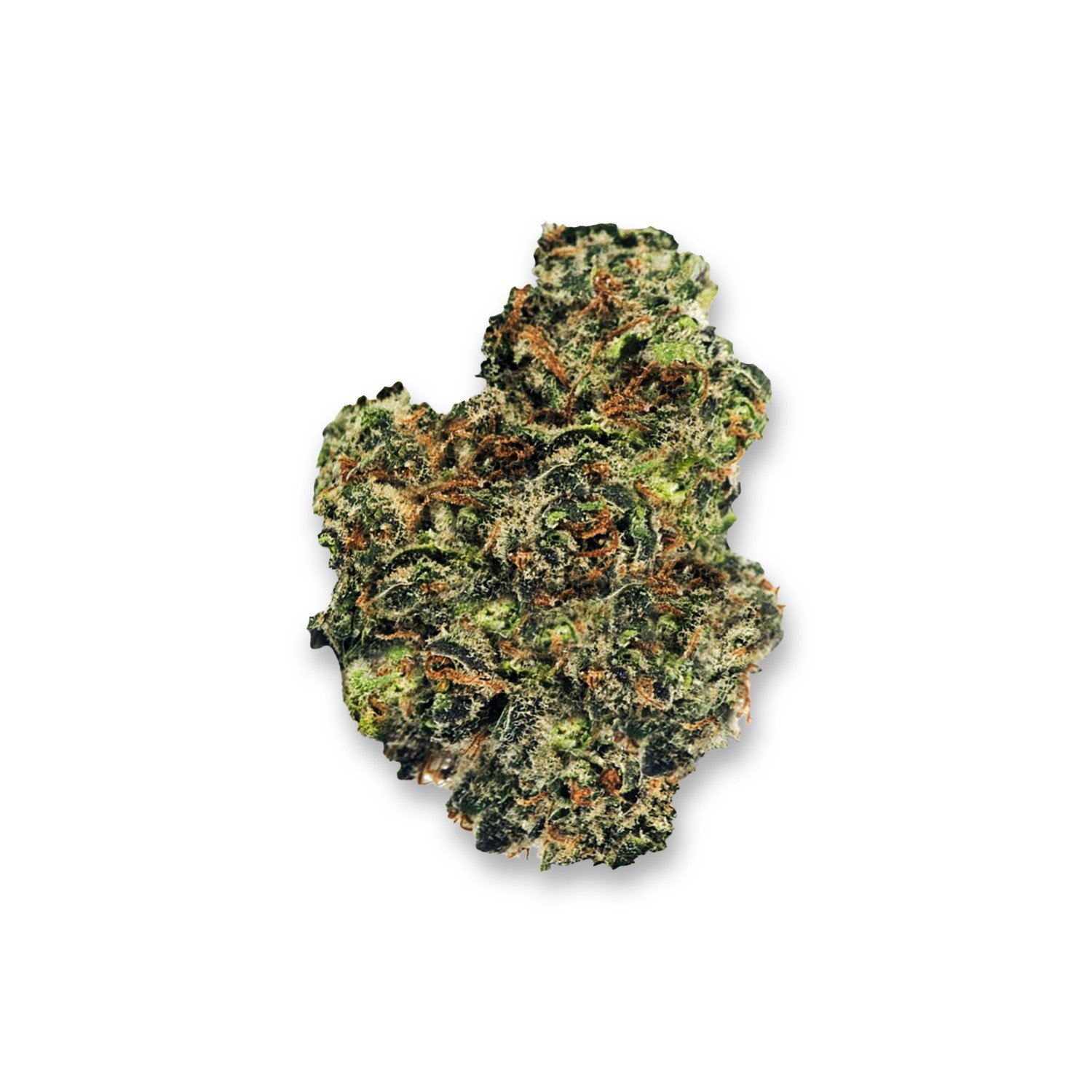 colorado clementines strain review