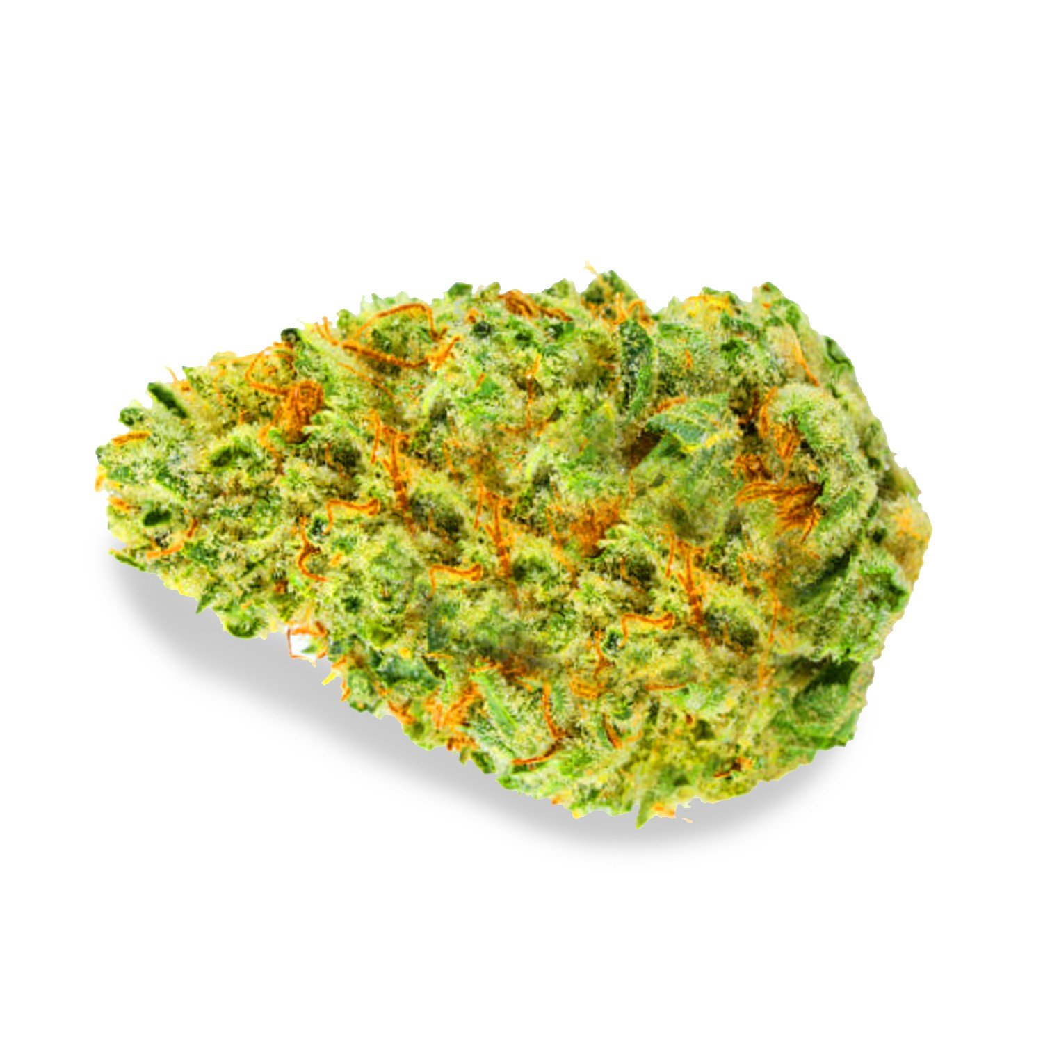 dawg breath review