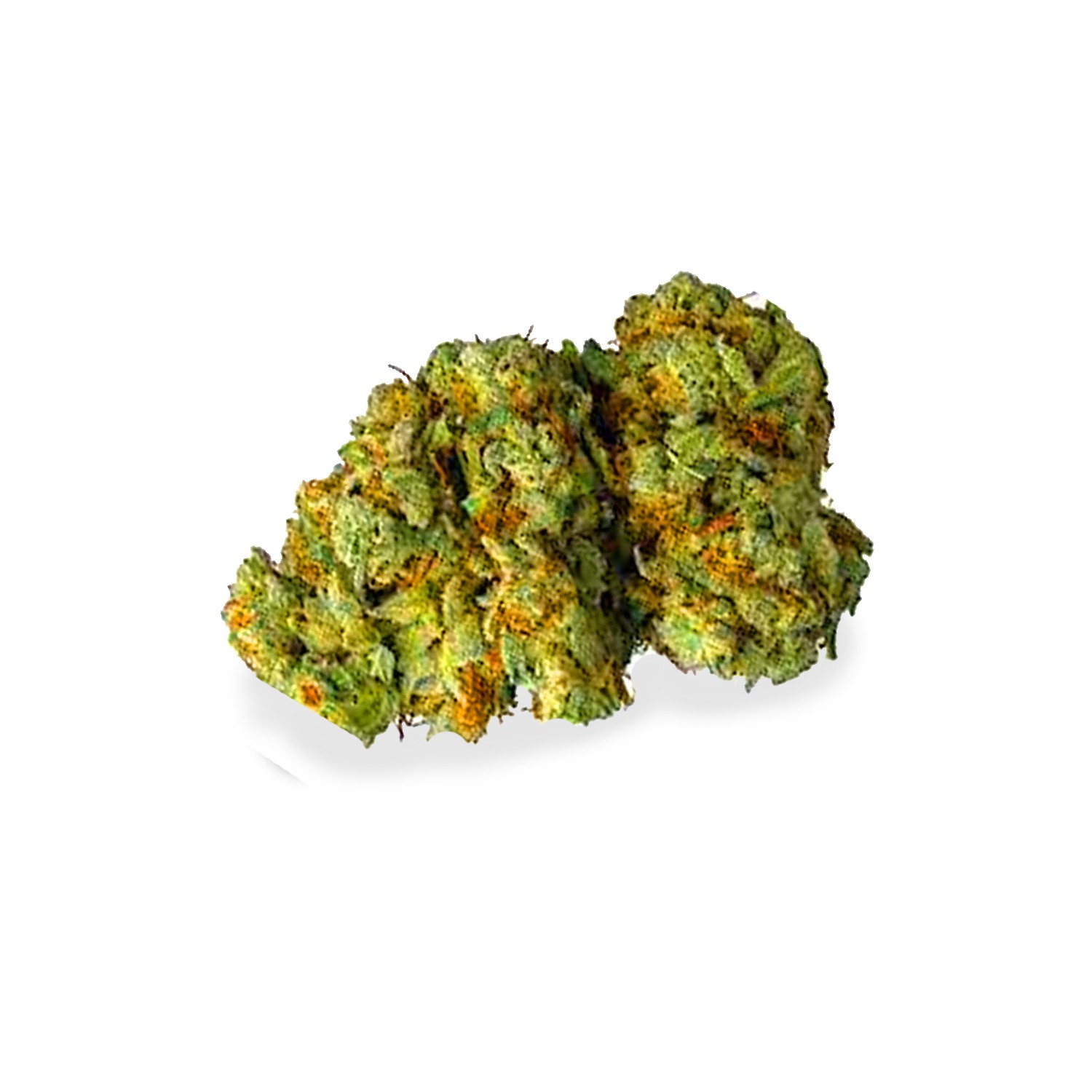 northern lights strain review