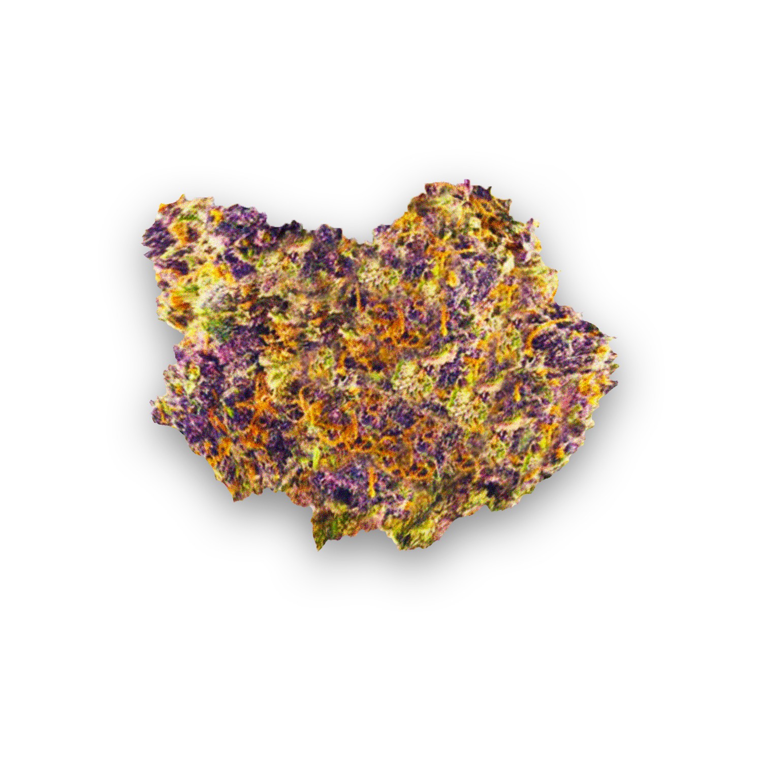 purple og kush strain review