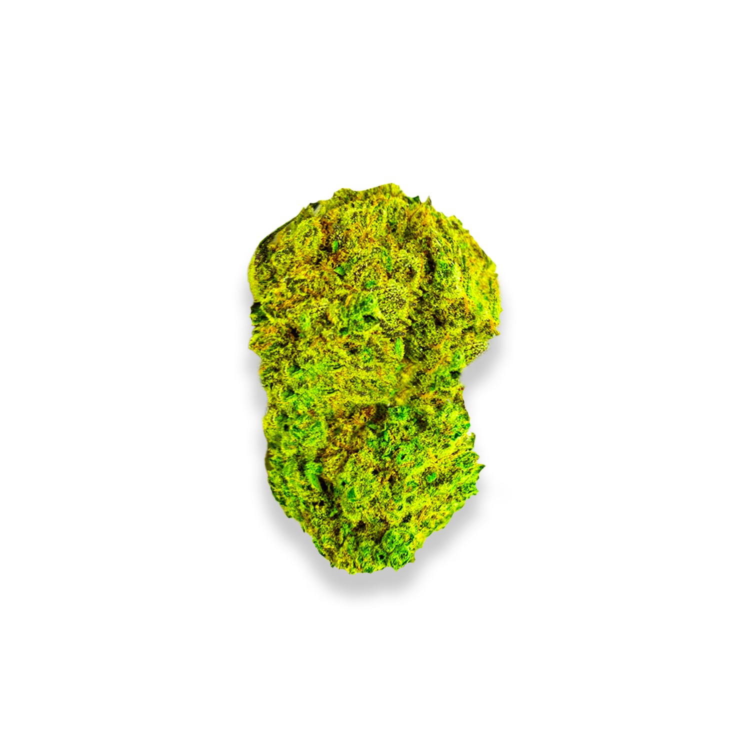 queso perro strain review