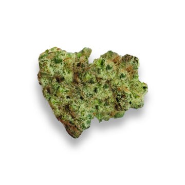 Queso Strain Review