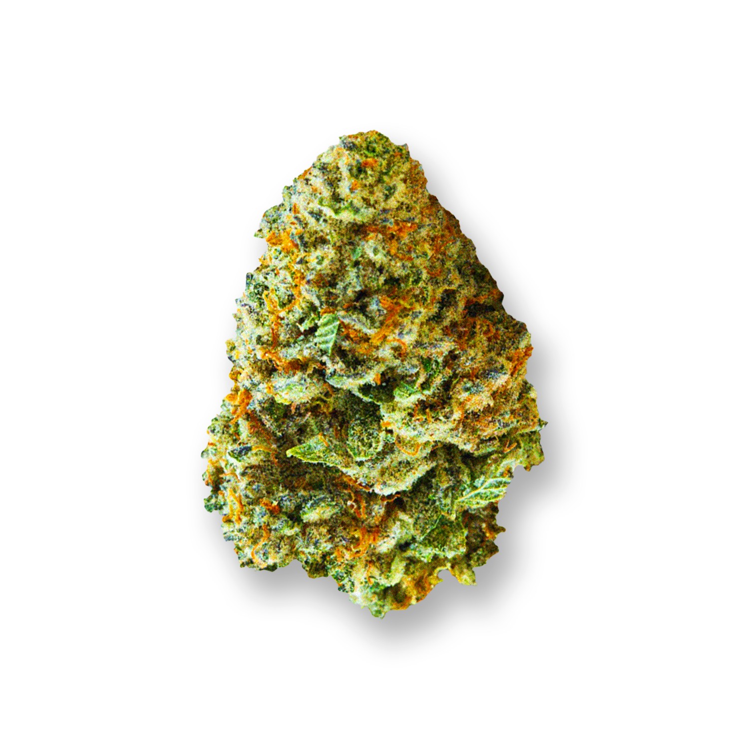 sour jilly strain review