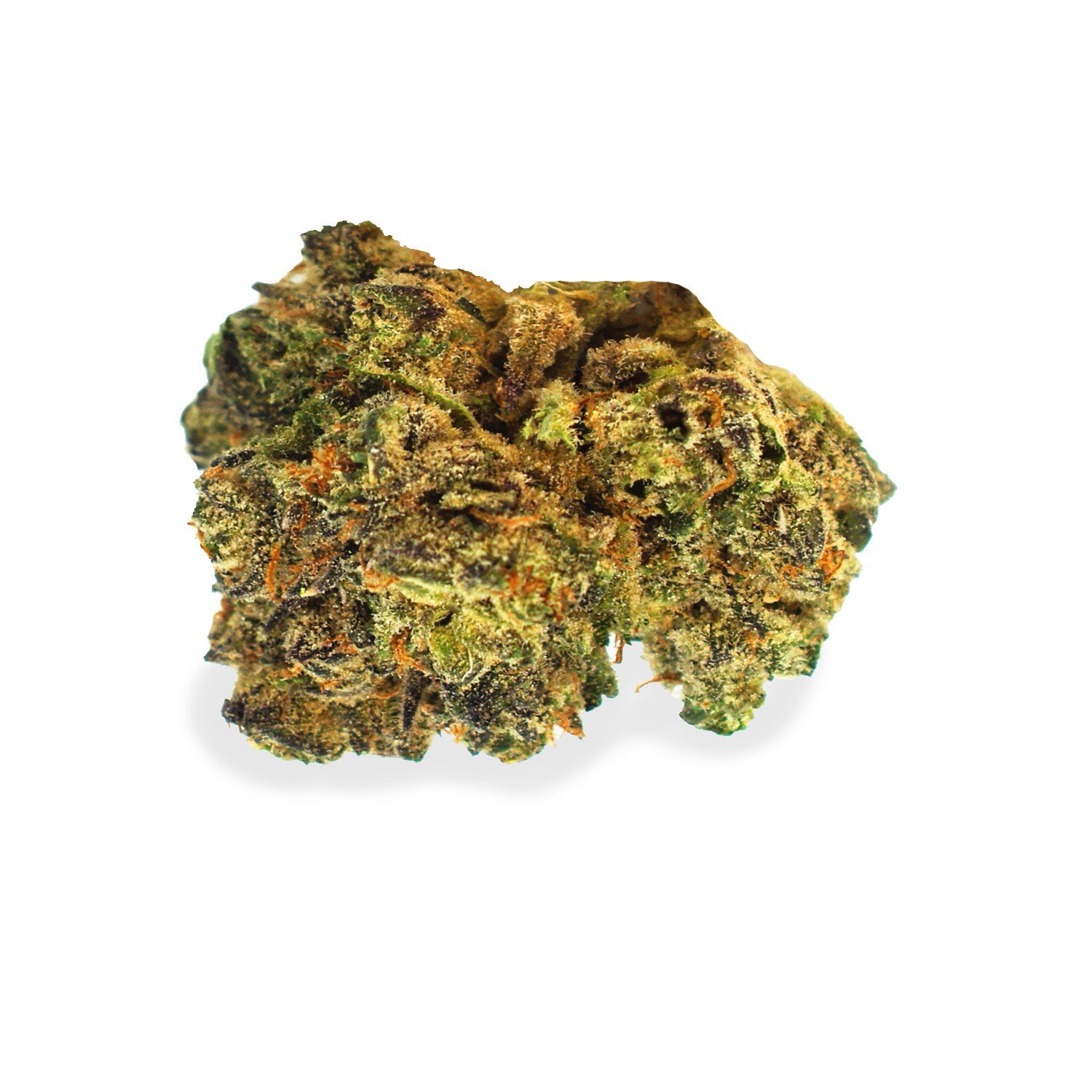 10th planet strain review