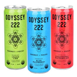 12PC CASE - Odyssey Mushroom 222 Elixir - 12oz / Assorted Flavors