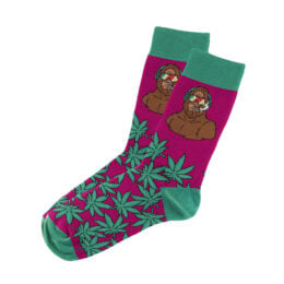 6PK - Blazing Buddies Socks - Hippie Yeti