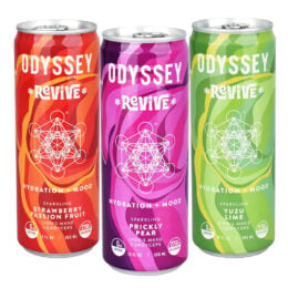 12PC CASE - Odyssey Mushroom Revive Elixir - 12oz / Assorted Flavors