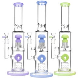 Dual Chamber Jellyfish Perc Water Pipe -14"/14mm F/Clrs Vary