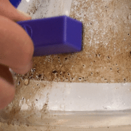 BoroBuddy™ Magnetic Glass Cleaner