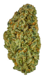Plain Jane Orange Gas Indoor Hemp Flower
