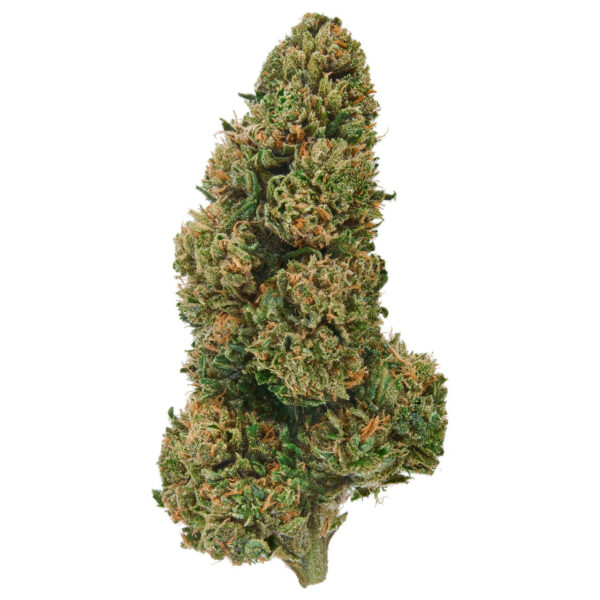 Plain Jane Spec 7 Hemp Flower
