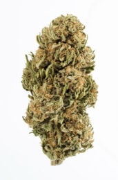 Plain Jane CBG Hemp Flower