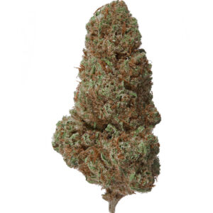 Plain Jane Cobbler Hemp Indoor CBD Flower 3 plainjane cobbler hemp indoor flower 56121 1756406902 1280 1280 09459940 cd24d427 5086 4929 bf0d 6f1058cc375e