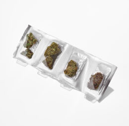 Plain Jane Flower Sampler Pack