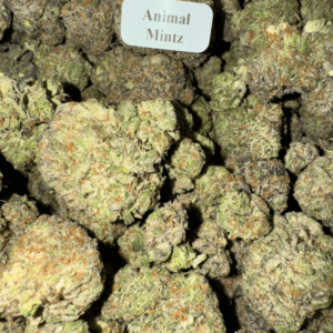 Animal-Mintz-HowToGetNearMe-BestPlace-LowestPrice-Coupon-Discount-For-Smoking-Best-High-Smoke-Shop-Online-Near-Me-StrongestBrand-BestBrand-Where-To-Buy-THC-THCA-D8-D9-Hemp-Bloomz-1