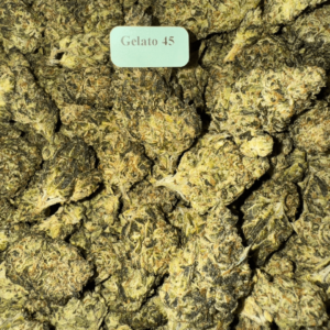 Gelato-45-HowToGetNearMe-BestPlace-LowestPrice-Coupon-Discount-For-Smoking-Best-High-Smoke-Shop-Online-Near-Me-StrongestBrand-BestBrand-Where-To-Buy-THC-THCA-D8-D9-Hemp-Bloomz
