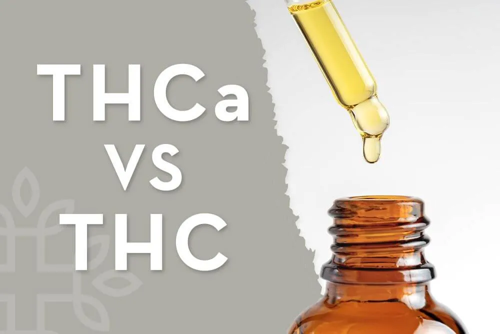 THC vs THCA