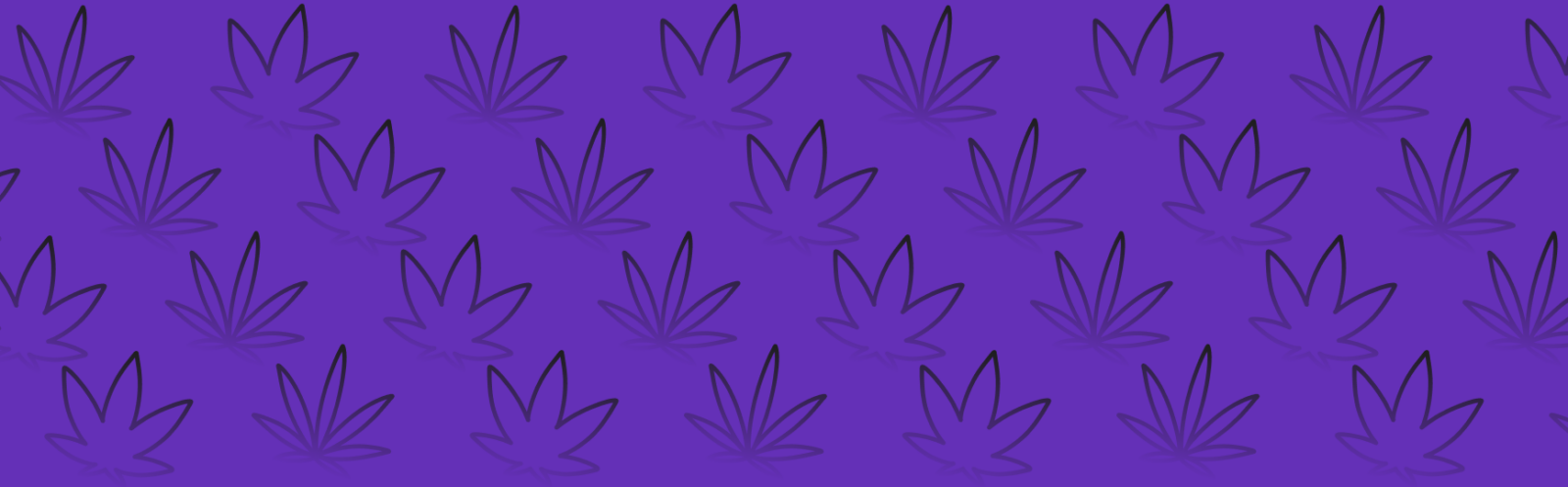 Featured image for “Grand Daddy Purp Strain vs Bubble Gum Gelato Strain: A Comparative Analysis”