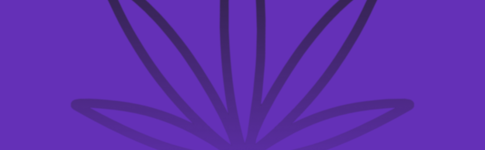 Featured image for “Venom OG Strain vs Ice Cream Runtz Strain: A Comparative Analysis”