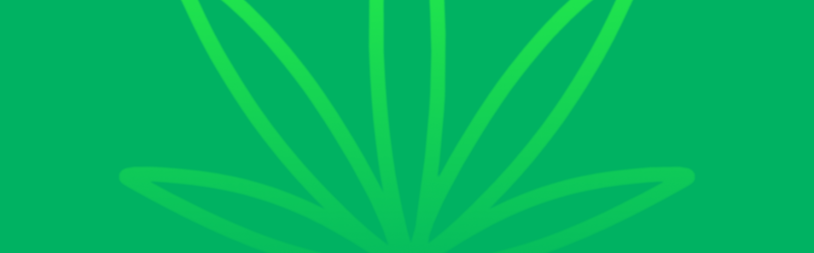 Featured image for “A Compare Jealousy Strain vs Runtz Strain: A Comparative Analysis”