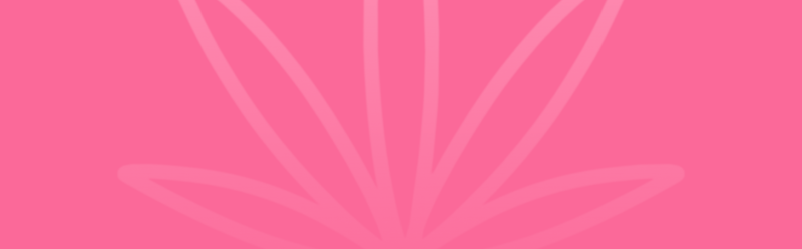 Featured image for “Bubblegum Gelato Strain vs RS-11 Strain: A Comparative Analysis”