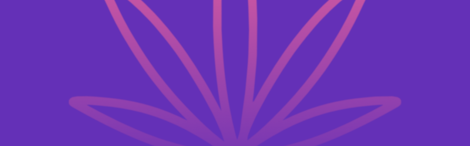 Featured image for “Oreo Strain vs Pure Michigan Strain: A Comparative Analysis”