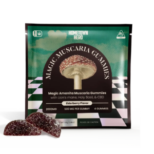 1e3fae51-7f6b-4a40-9915-d69dba888097