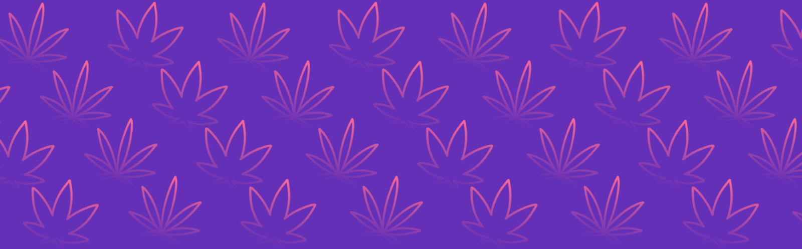 Featured image for “A Comparative Guide: Blue Cookies Strain vs Mendo Breath Strain”