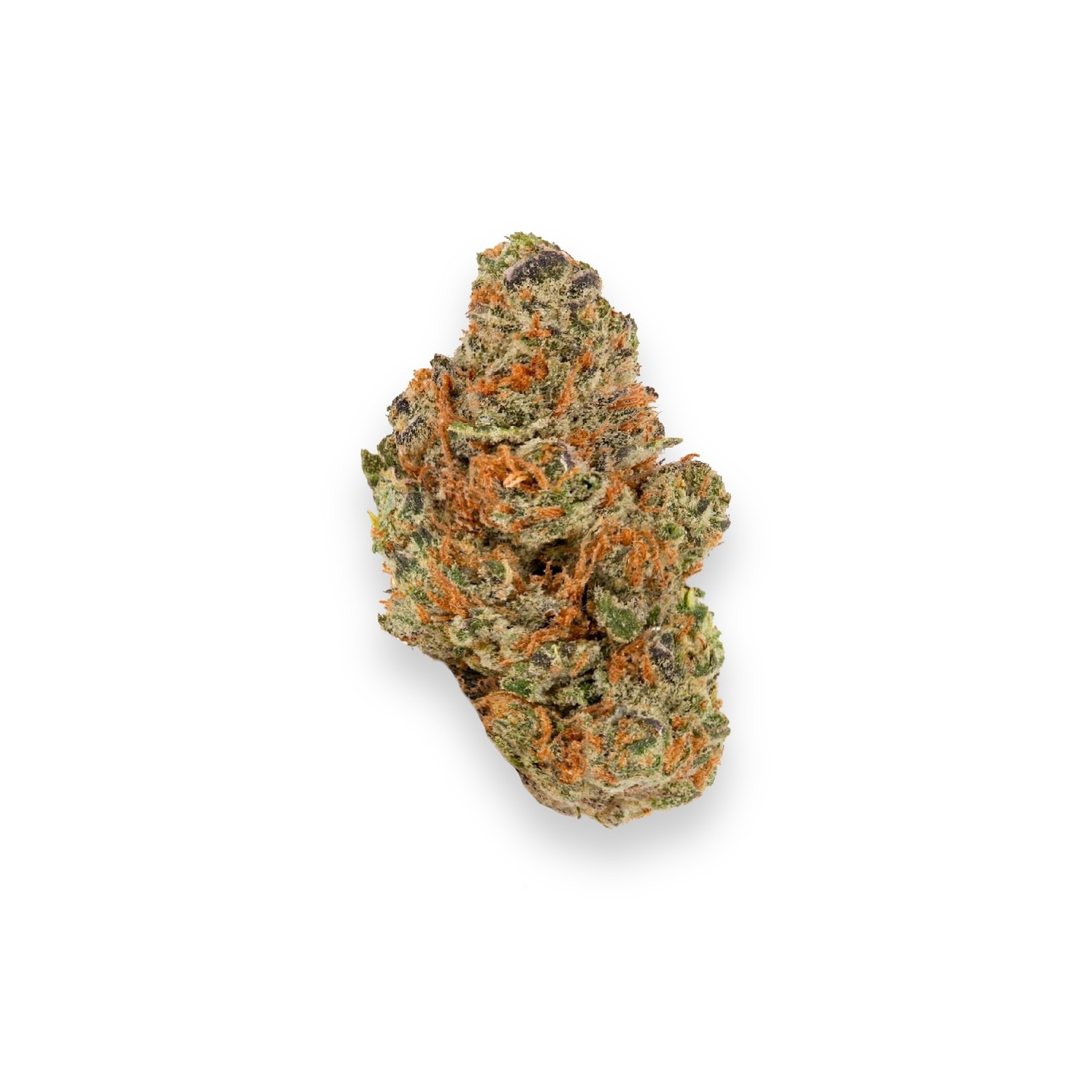 Featured image for “2 Scoops Strain”