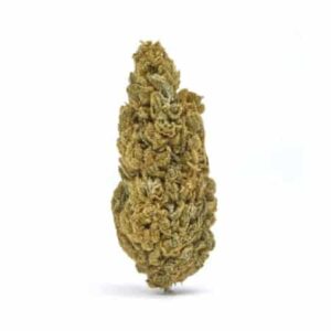 Casino Cookies CBD Hemp Flower