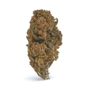 Orange Cookies CBD Hemp Flower