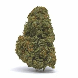 Banana Kush CBD Hemp Flower