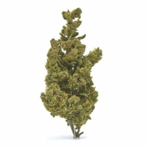 The Wife CBD Hemp Flower