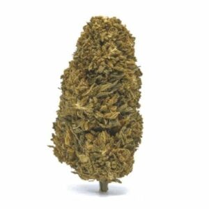 Cherry Abacus X Spectrum 7 CBD Hemp Flower