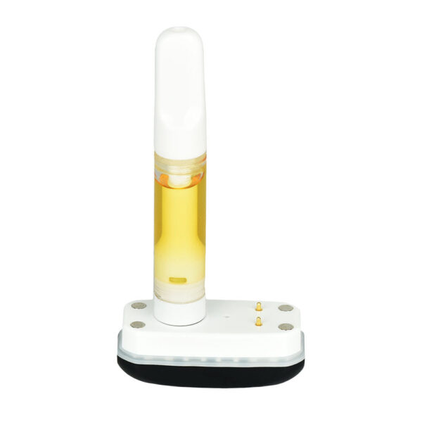 209c6826-f6a6-4f9f-a25e-31bc6f8a79b2