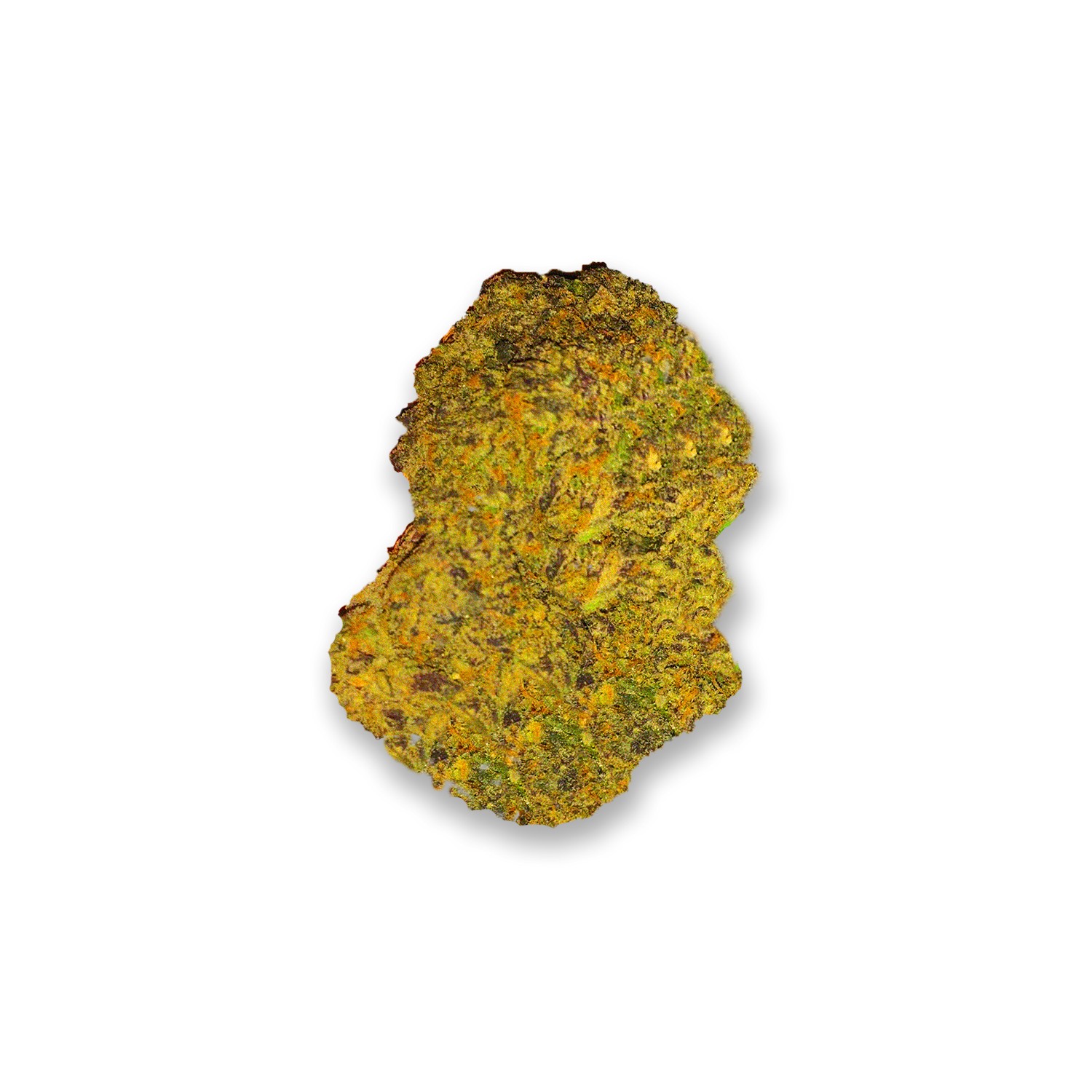 Featured image for “22 Strain”