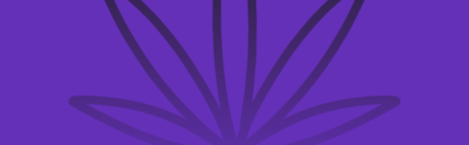 Featured image for “Wedding Pie Strain vs Banana Cake Strain: A Comparative Analysis”