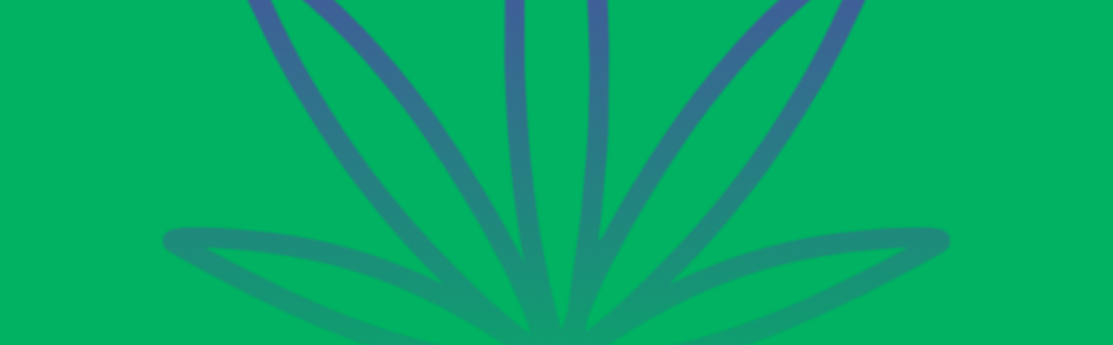 Featured image for “Banana OG Strain vs Grape Gasoline Strain: A Comparative Analysis”