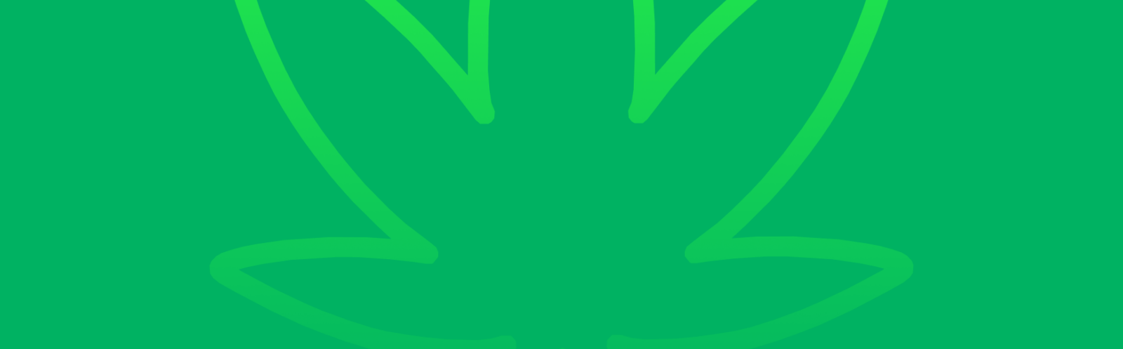 Featured image for “Blue Cheese Strain vs Red Headed Stranger Strain: A Comparative Analysis”