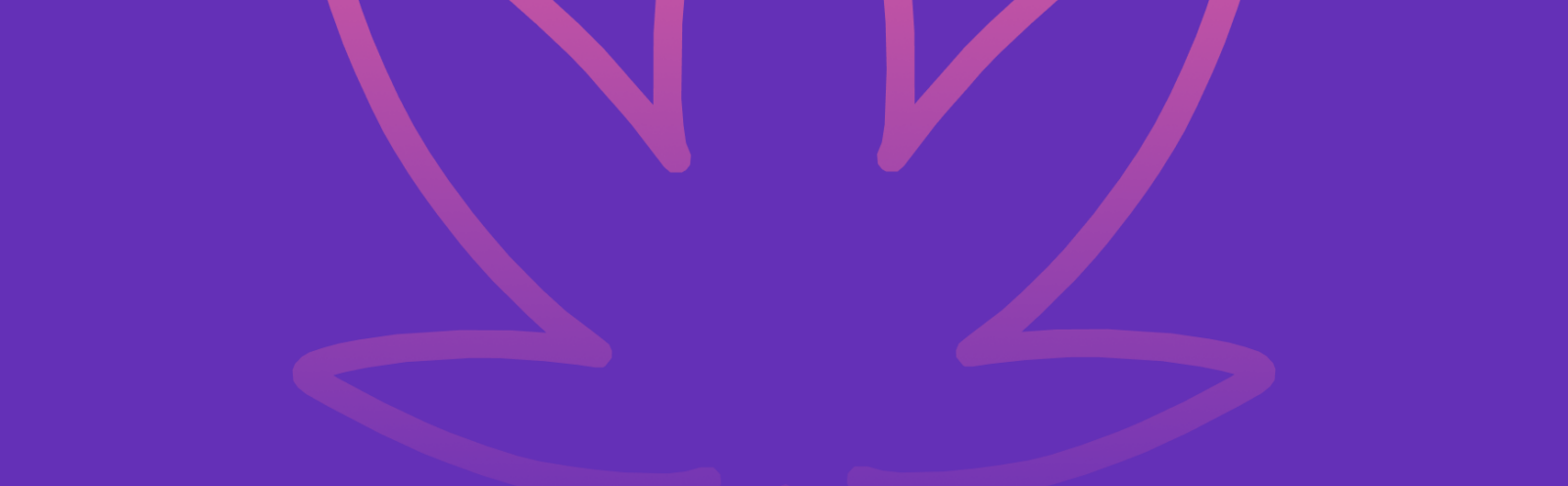 Featured image for “Black Cherry Gelato Strain vs White Wedding Strain: A Comparative Analysis”