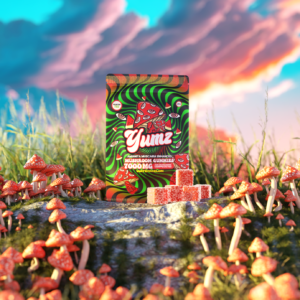 2a2323d4-251d-4e4a-b12e-f12da98393f9