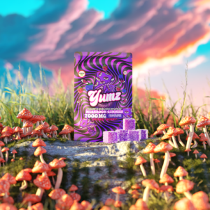 2b67743b-df1a-43c5-85d6-f8d7c6a21036