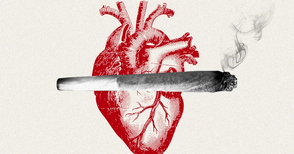 Featured image for “THCA and Cardiovascular Health: What You Need to Know”