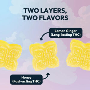 2layer-infographic-honey