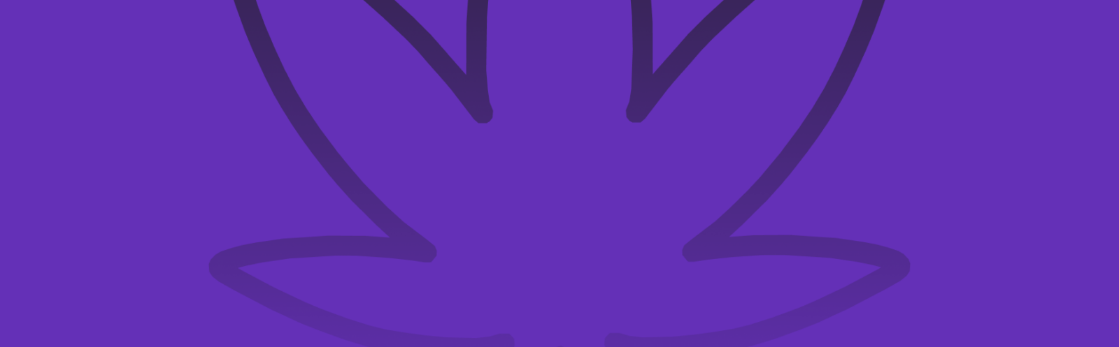 Featured image for “Rainbow Chip Strain vs RS-11 Strain”